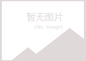 广昌县半雪采矿有限公司